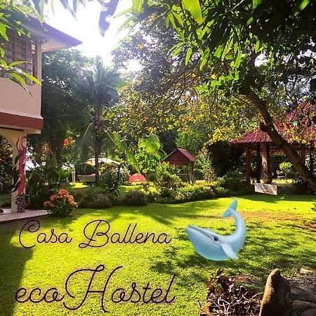 Casa Ballena Eco Hostel Uvita Dış mekan fotoğraf