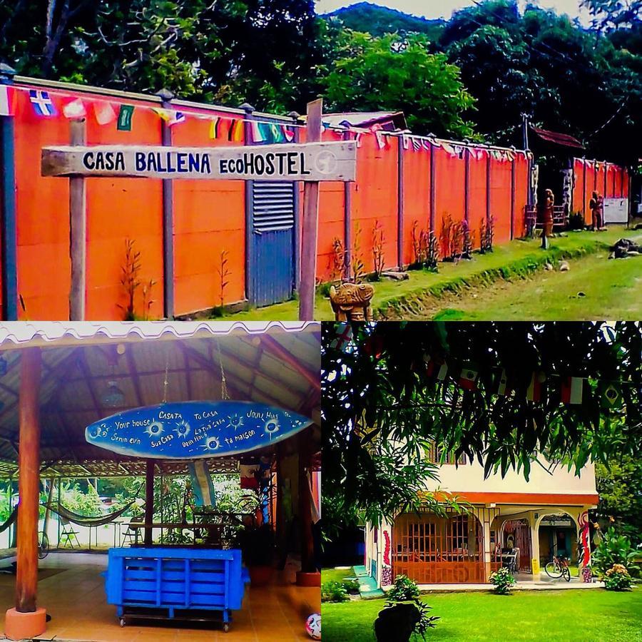 Casa Ballena Eco Hostel Uvita Dış mekan fotoğraf