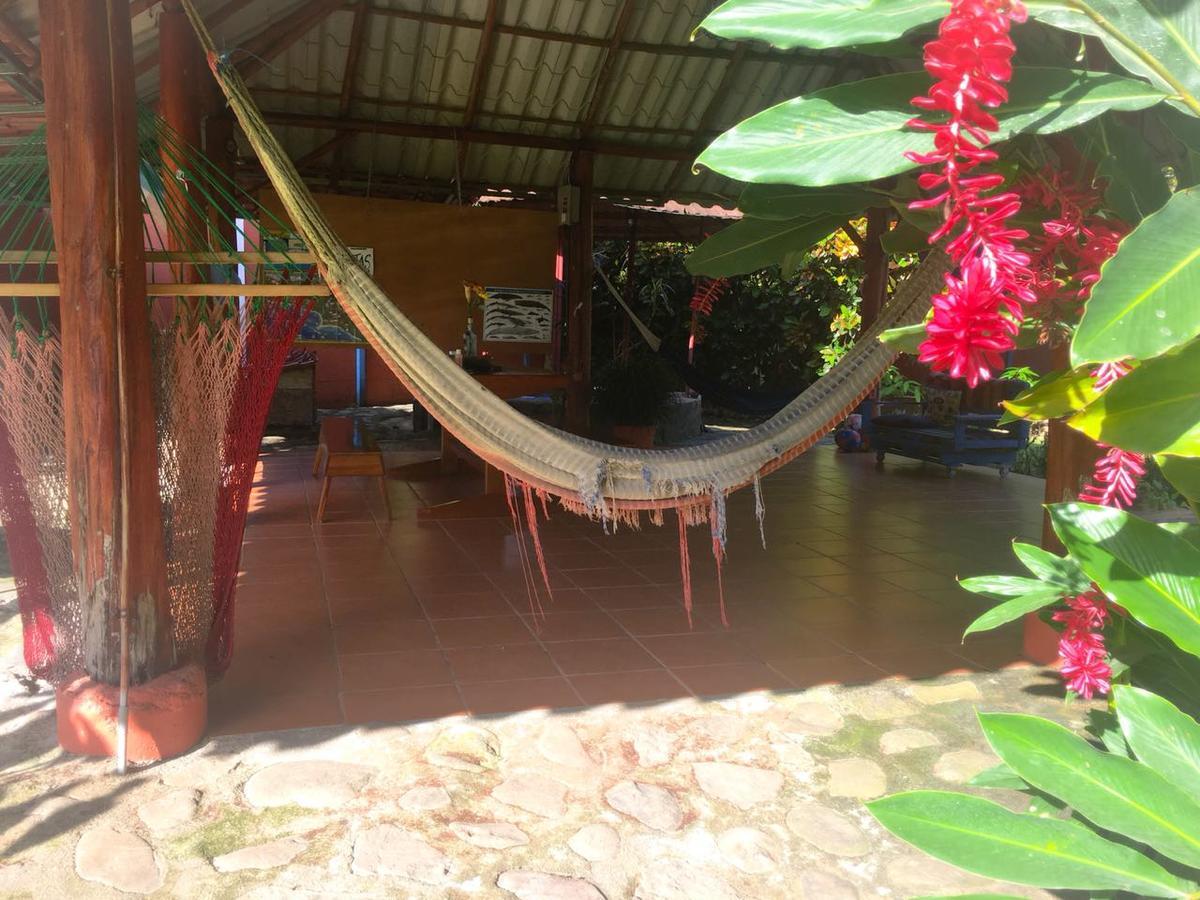 Casa Ballena Eco Hostel Uvita Dış mekan fotoğraf