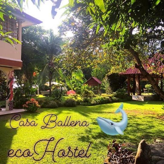 Casa Ballena Eco Hostel Uvita Dış mekan fotoğraf